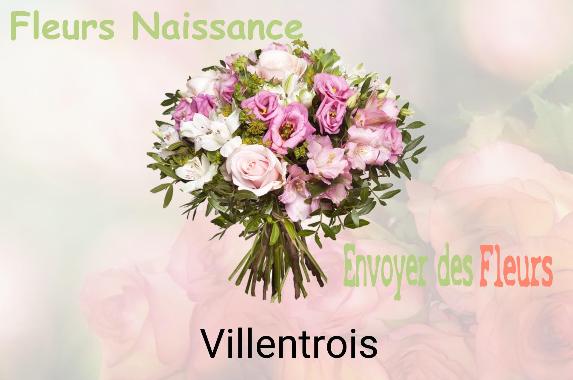 Bouquet de fleurs de naissance livré à Villentrois