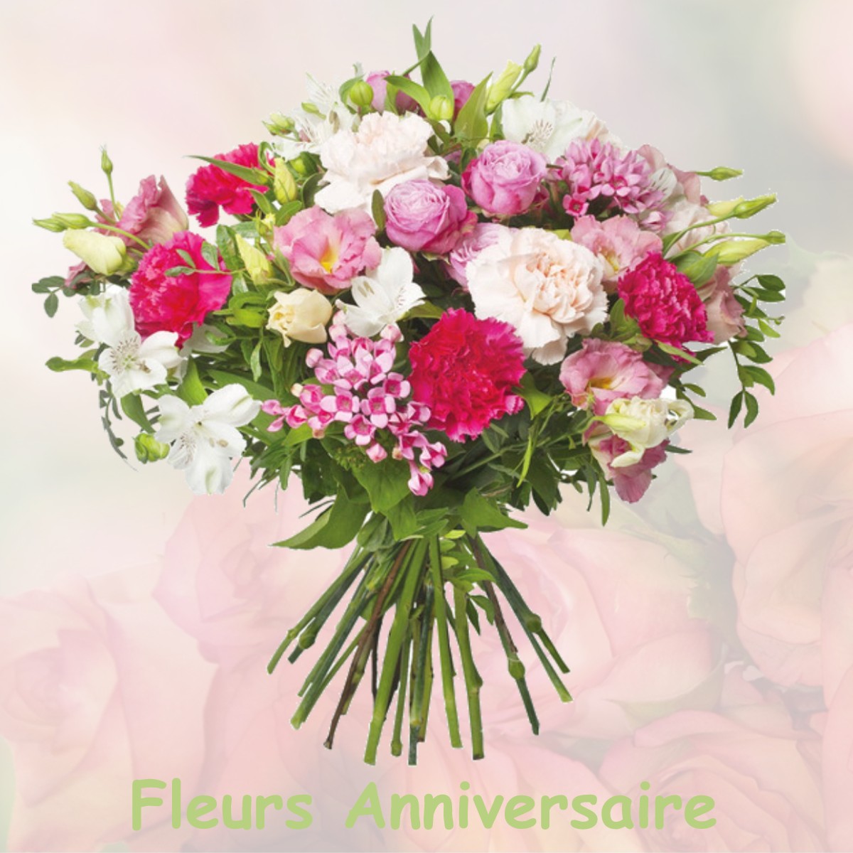 fleurs anniversaire VILLENTROIS